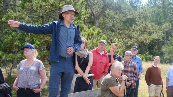 Vilde sommerhusgrunde er vigtige for biodiversiteten