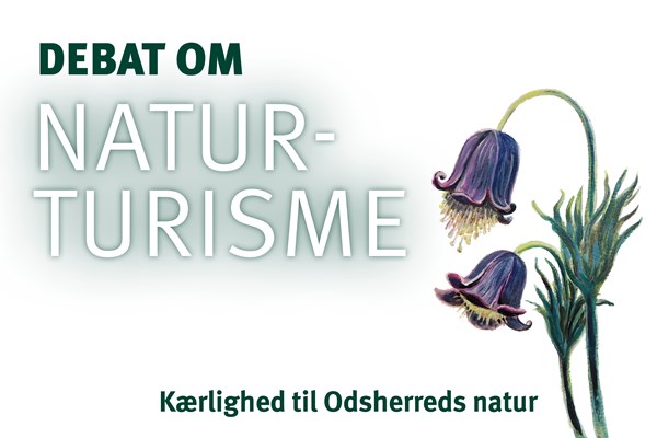 Paneldebat: Hvordan får Odsherred mere naturturisme?