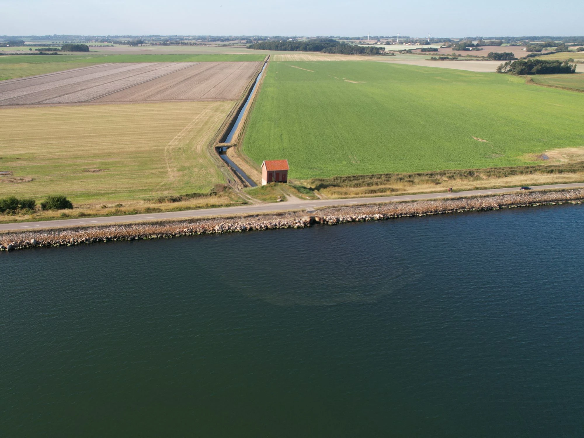 Todo